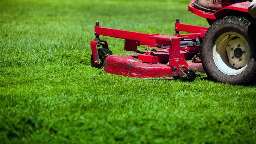 Lawn mower cutting lush green grass, representing specialized lawn care services for optimal turf health and appearance.