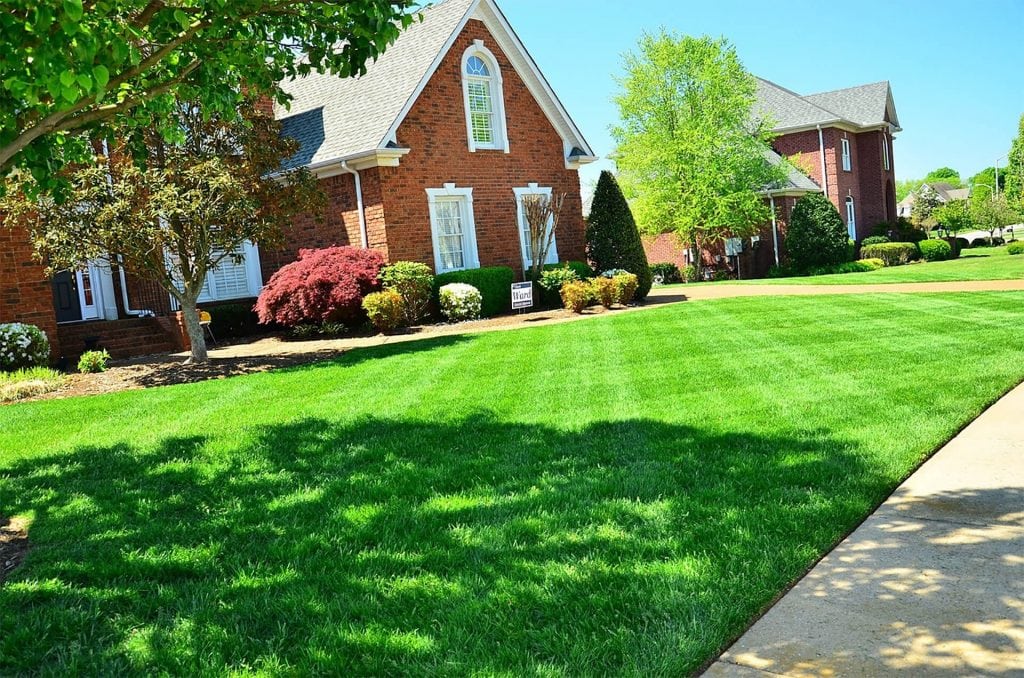 benefits of professional lawn services