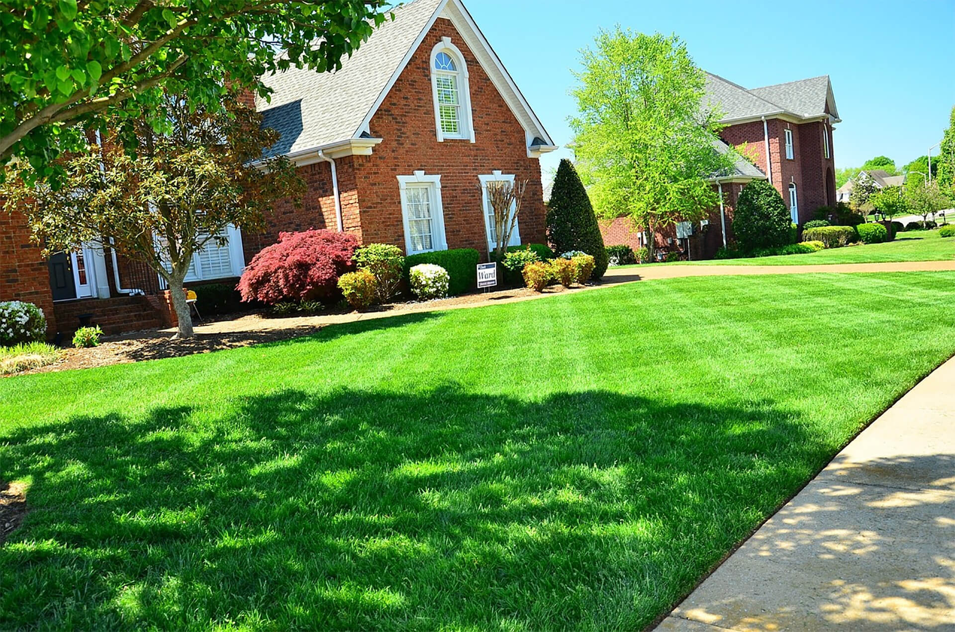 benefits of professional lawn services