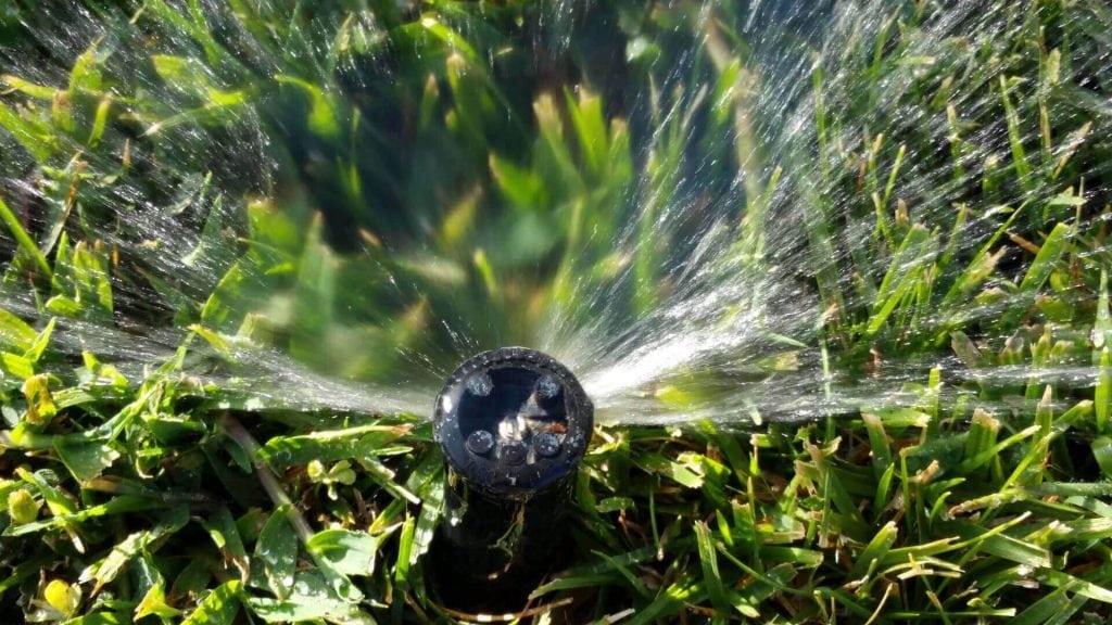 Sprinkler head spraying water over lush green grass, illustrating efficient irrigation system operation for healthy landscaping.