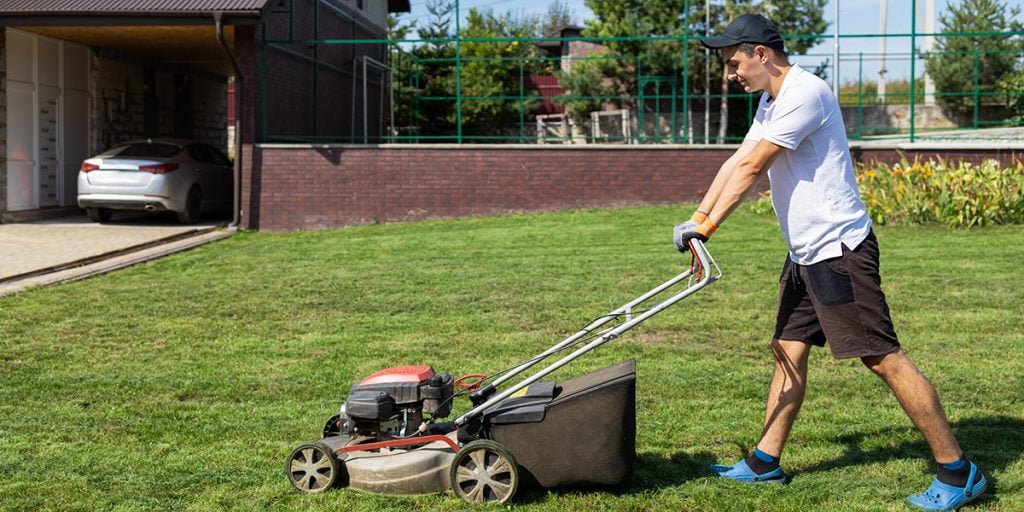 how often should you mow your lawn