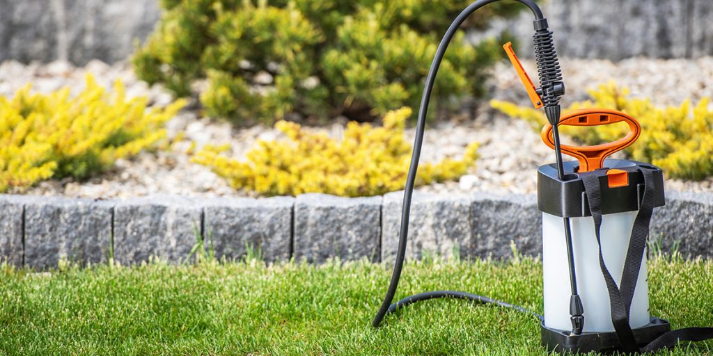 when to fertilize lawn