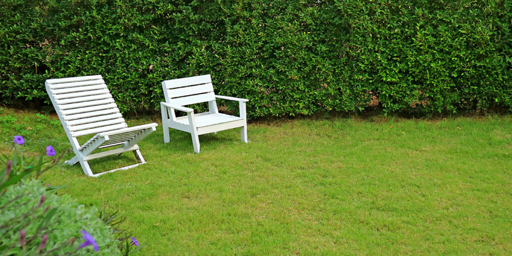 Two white garden chairs on a well-maintained lawn surrounded by a lush green hedge, illustrating a serene outdoor space for relaxation and lawn care.