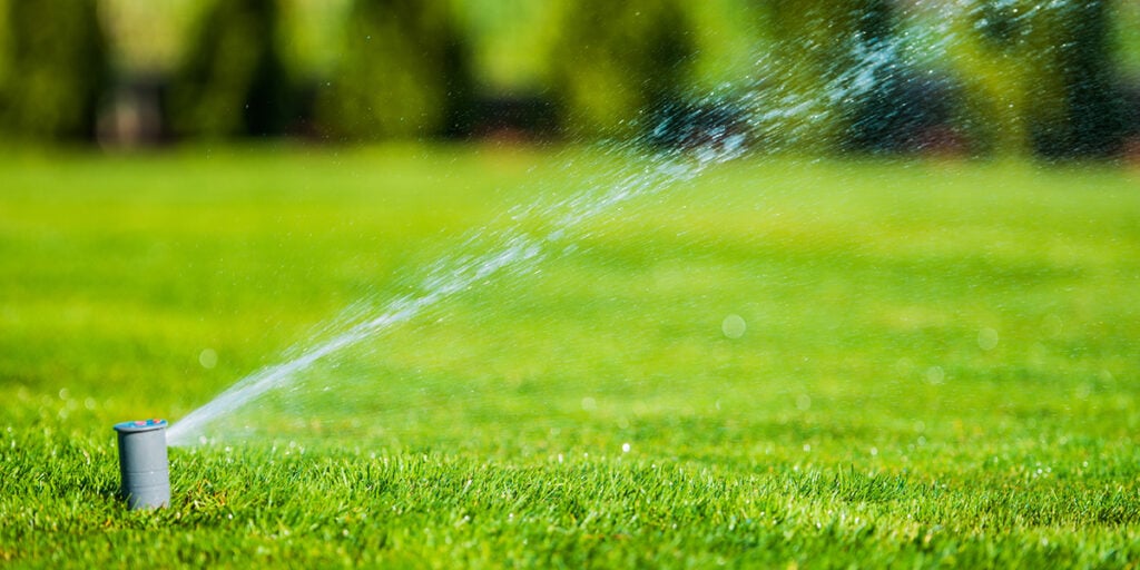 Sprinkler watering lush green lawn, illustrating irrigation management services for maintaining healthy outdoor spaces.