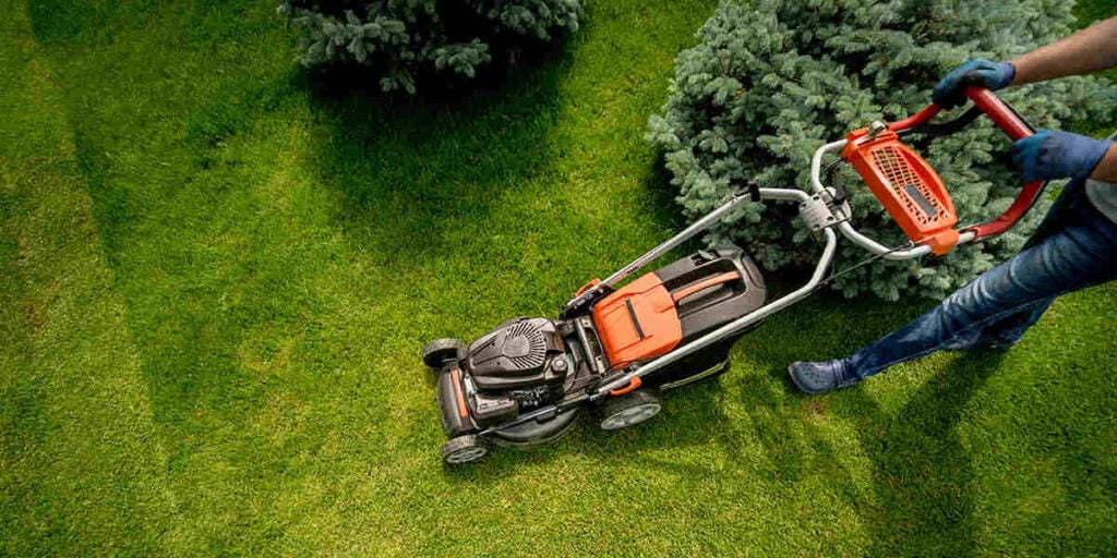 Lawn mower cutting grass in a well-maintained yard, emphasizing lawn care and maintenance.