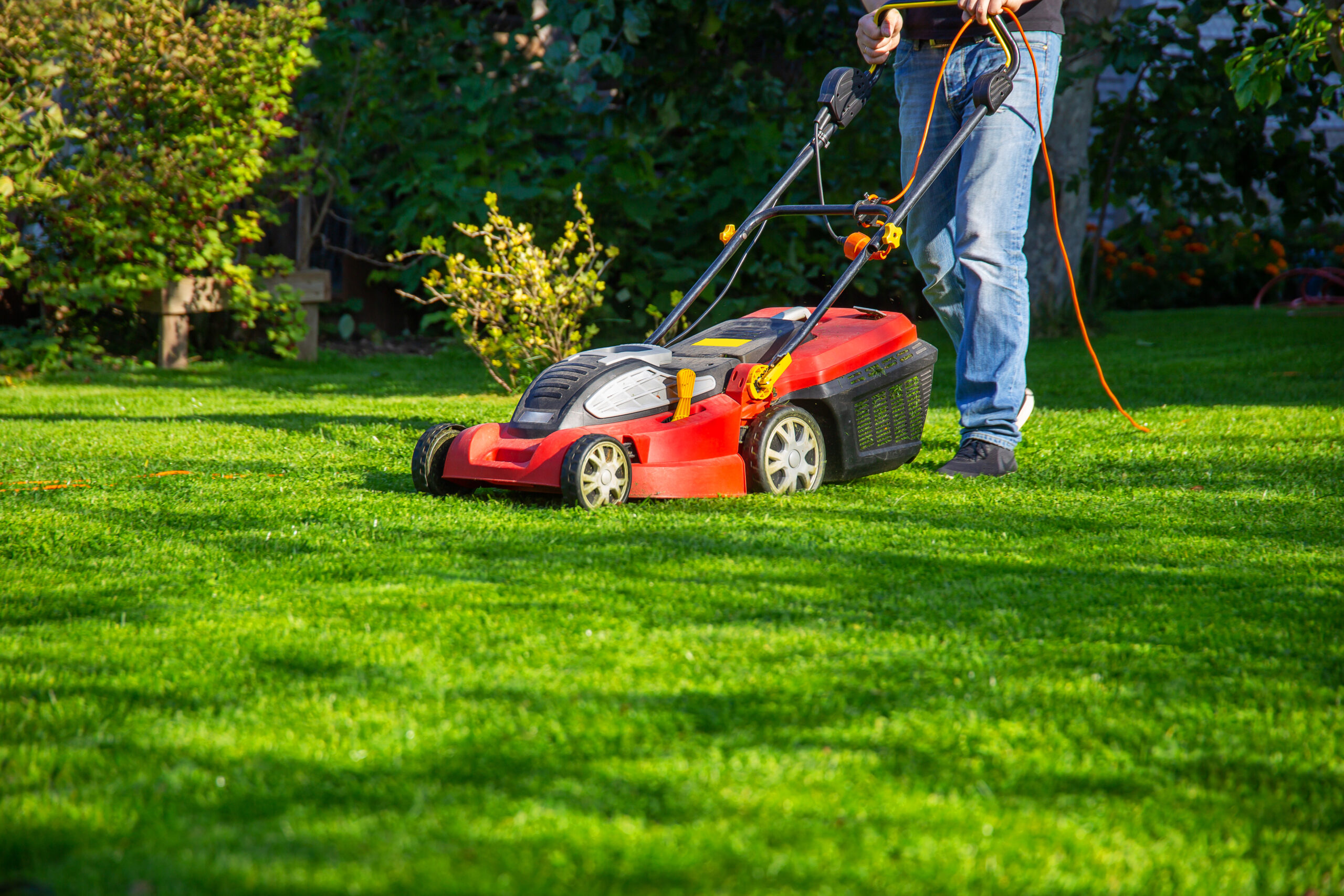 Person using an electric lawn mower on a vibrant green lawn, illustrating effective lawn care maintenance techniques for healthy grass.