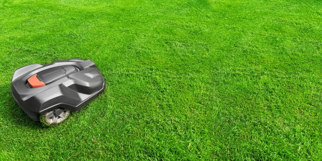 Robotic mower on lush green lawn, showcasing efficient lawn care technology for busy homeowners.