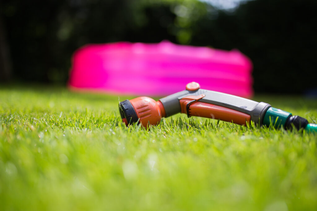 Organic Lawn Care Techniques