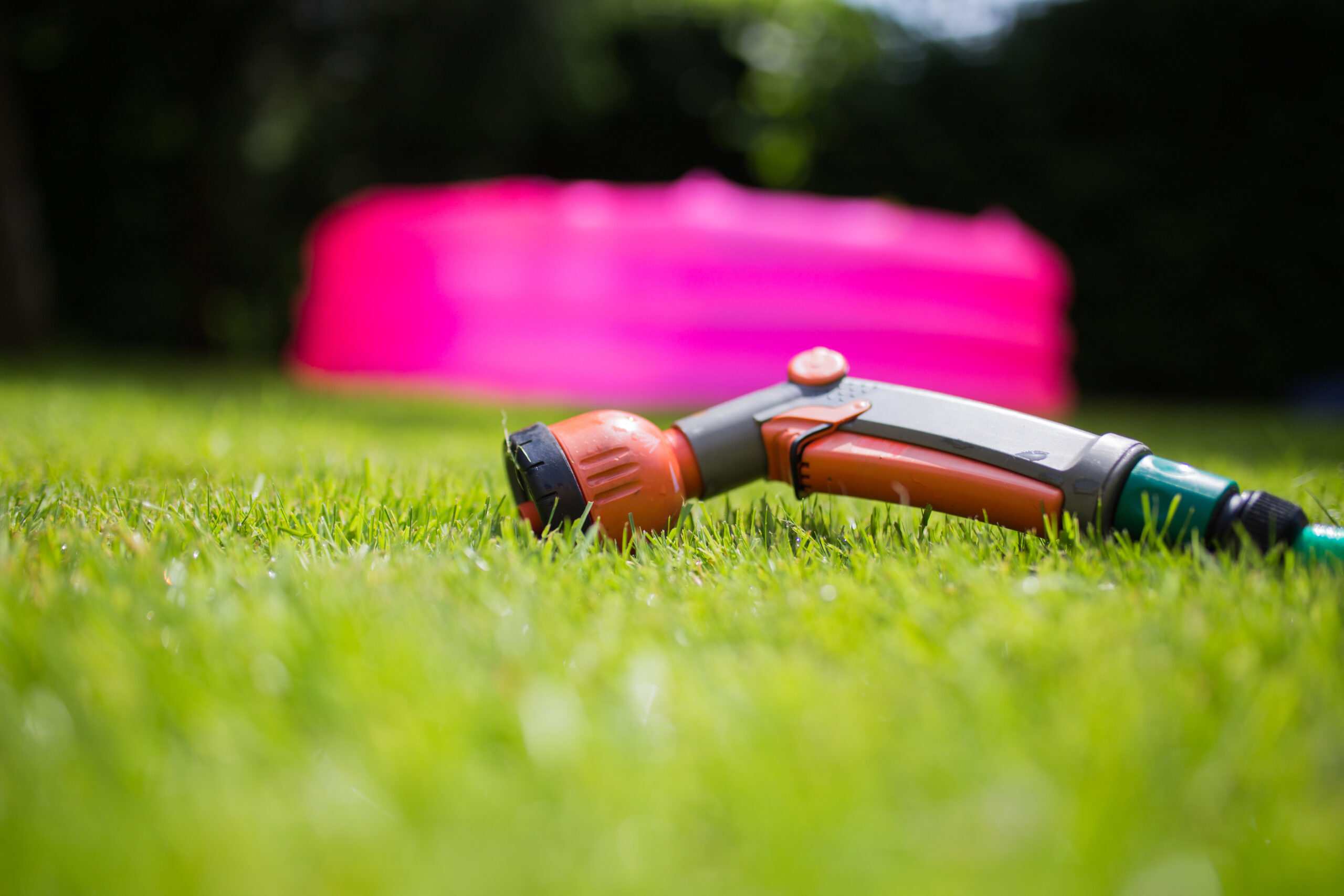 Garden hose sprayer resting on lush green grass with a blurred pink inflatable pool in the background, highlighting organic lawn care practices for a vibrant outdoor space.