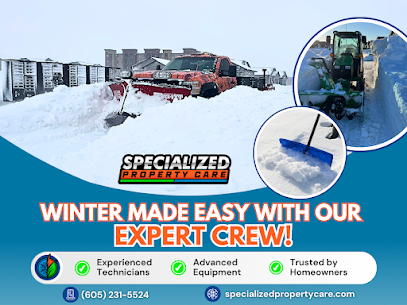 professional snow removal service