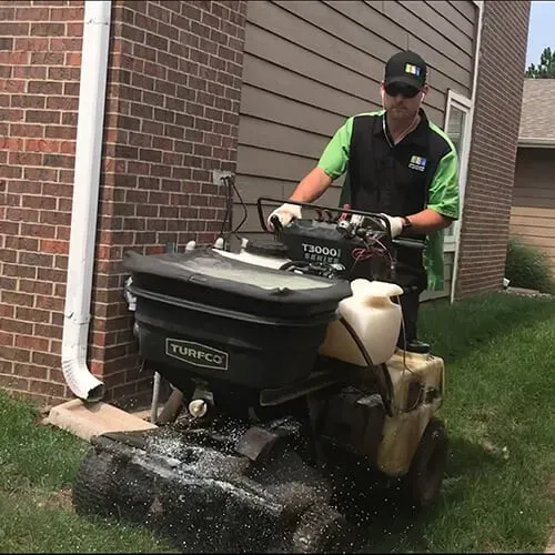 Homeowners practicing eco-friendly lawn care with organic methods and native plants
