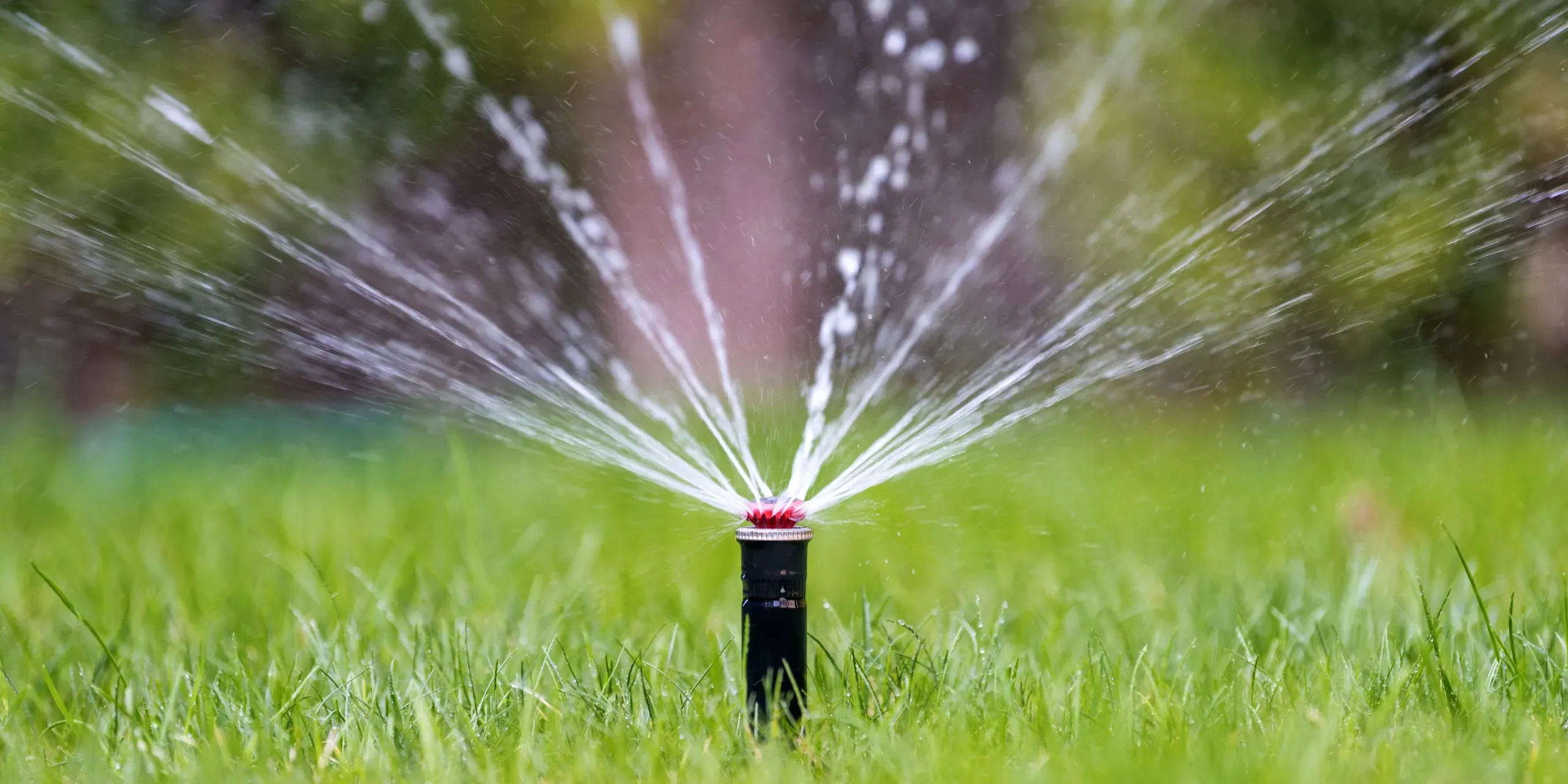 Smart irrigation system watering a healthy lawn, illustrating best practices for turf moisture management