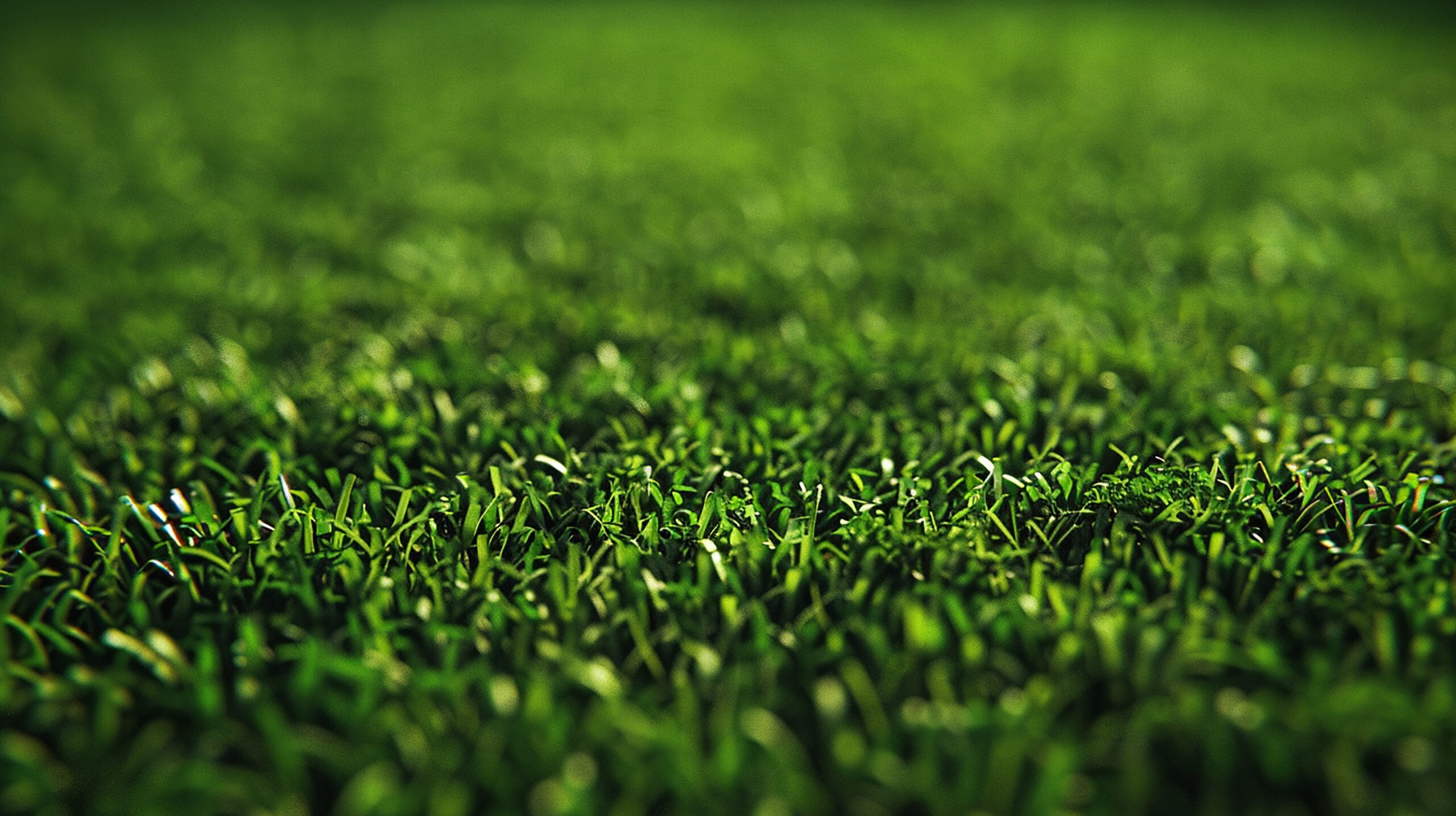best practices for turf care